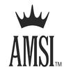 American Marketing Systems Inc