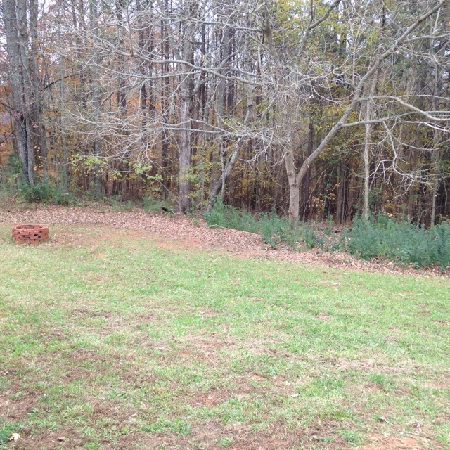 487 Mill Road, Brooks, GA 30205